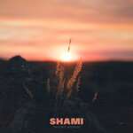 Shami - Рассвет впереди