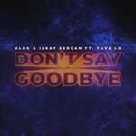 Tove Lo, Alok, Ilkay Sencan - Don&#039;t Say Goodbye