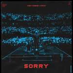 Alan Walker, Isak - Sorry