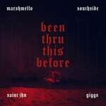 Marshmello, Giggs, SAINt JHN, Southside - Been Thru This Before