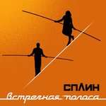 Сплин - Волк