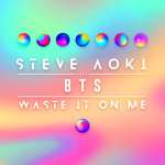 Steve Aoki, BTS - Waste It On Me
