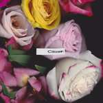 Sir Sly, Gary Clark Jr. - Citizen