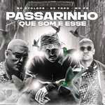 Mc Cyclope, DJ Topo, MC PR - Passarinho Que Som É Esse