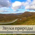 Иван Гринин - Инструментальная музыка