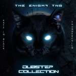 The Enigma Tng - Exorcision