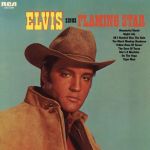 Elvis Presley - Too much monkey business