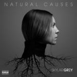 Skylar Grey - Intro