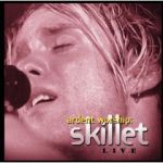 Skillet - How deep the Father's love for us